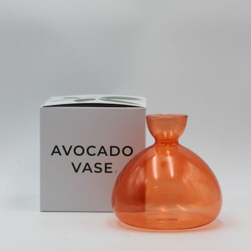 Avocado Vase Orange