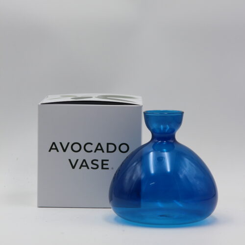 Avocado Vase Blue